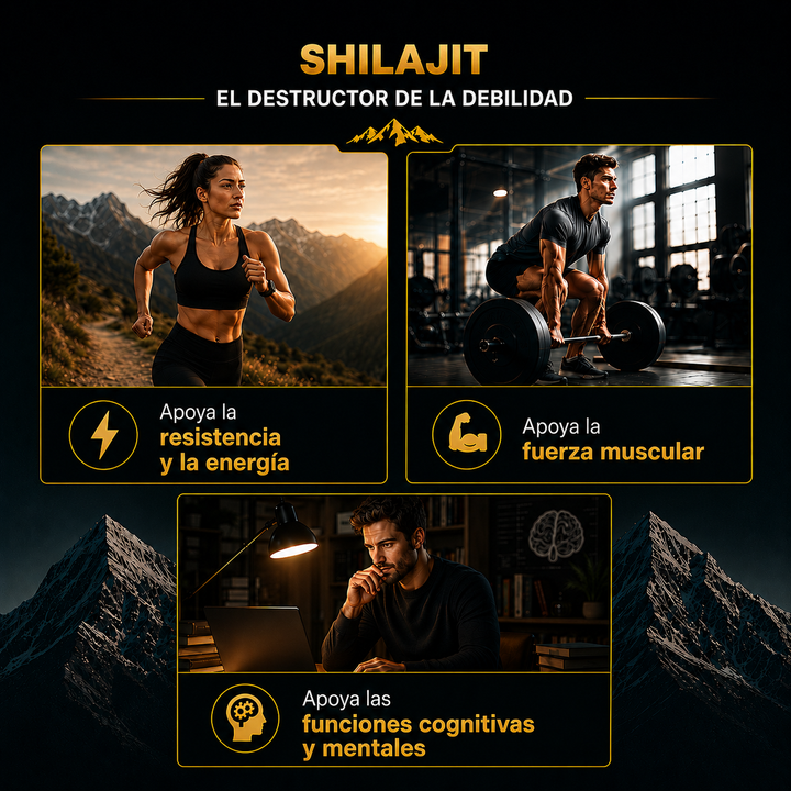 Himalaya SHILAJIT RESIN
