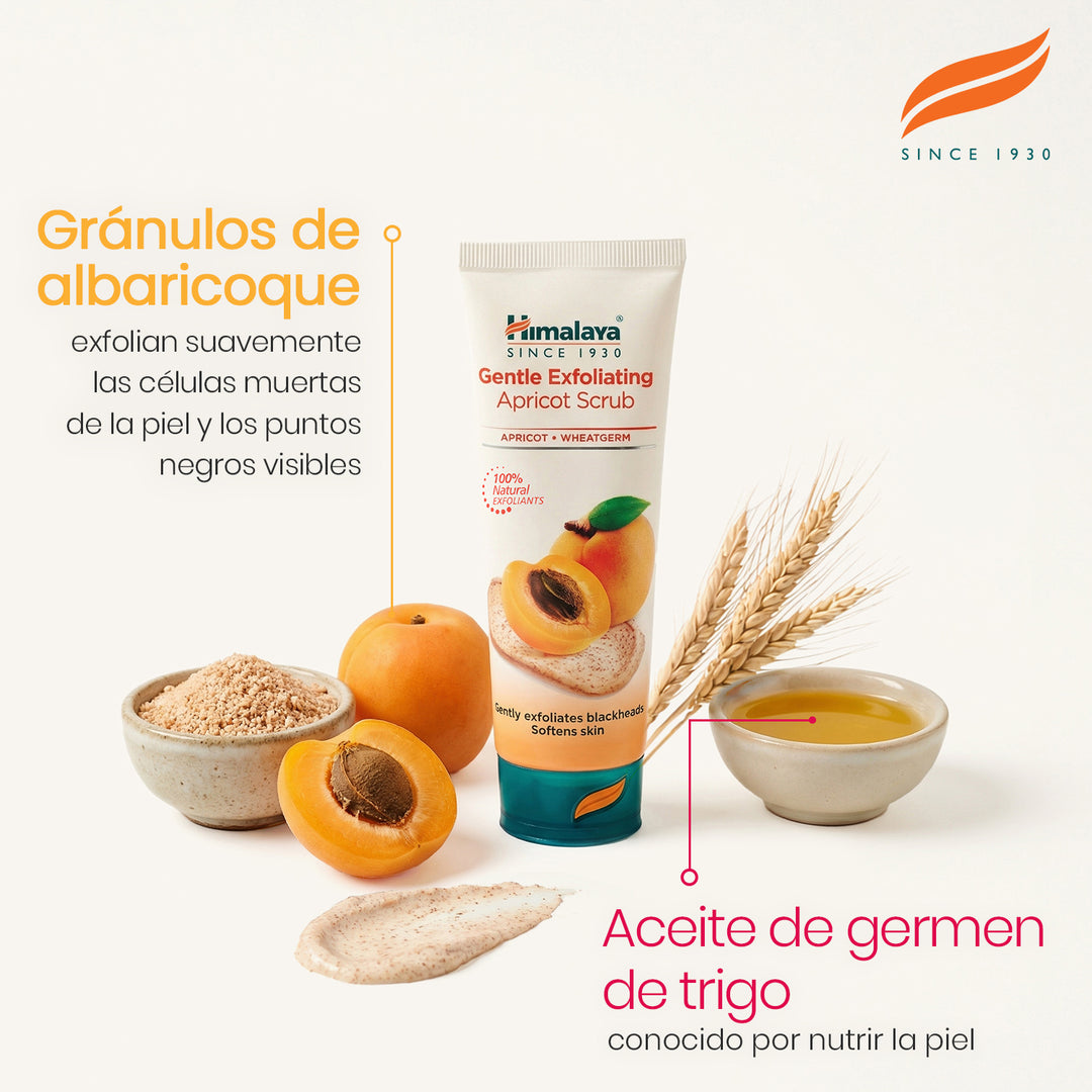 Exfoliante suave de albaricoque