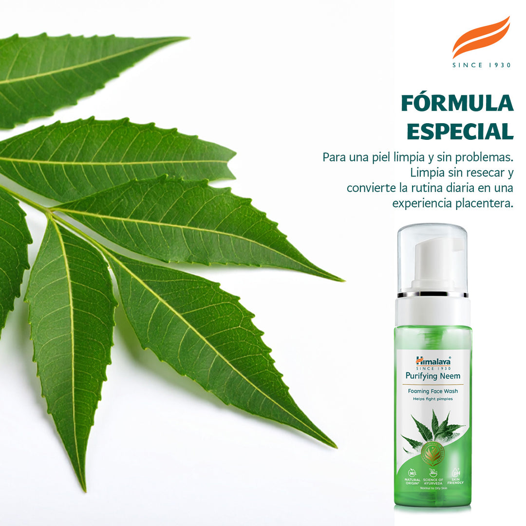Limpiador facial espumoso purificante de neem
