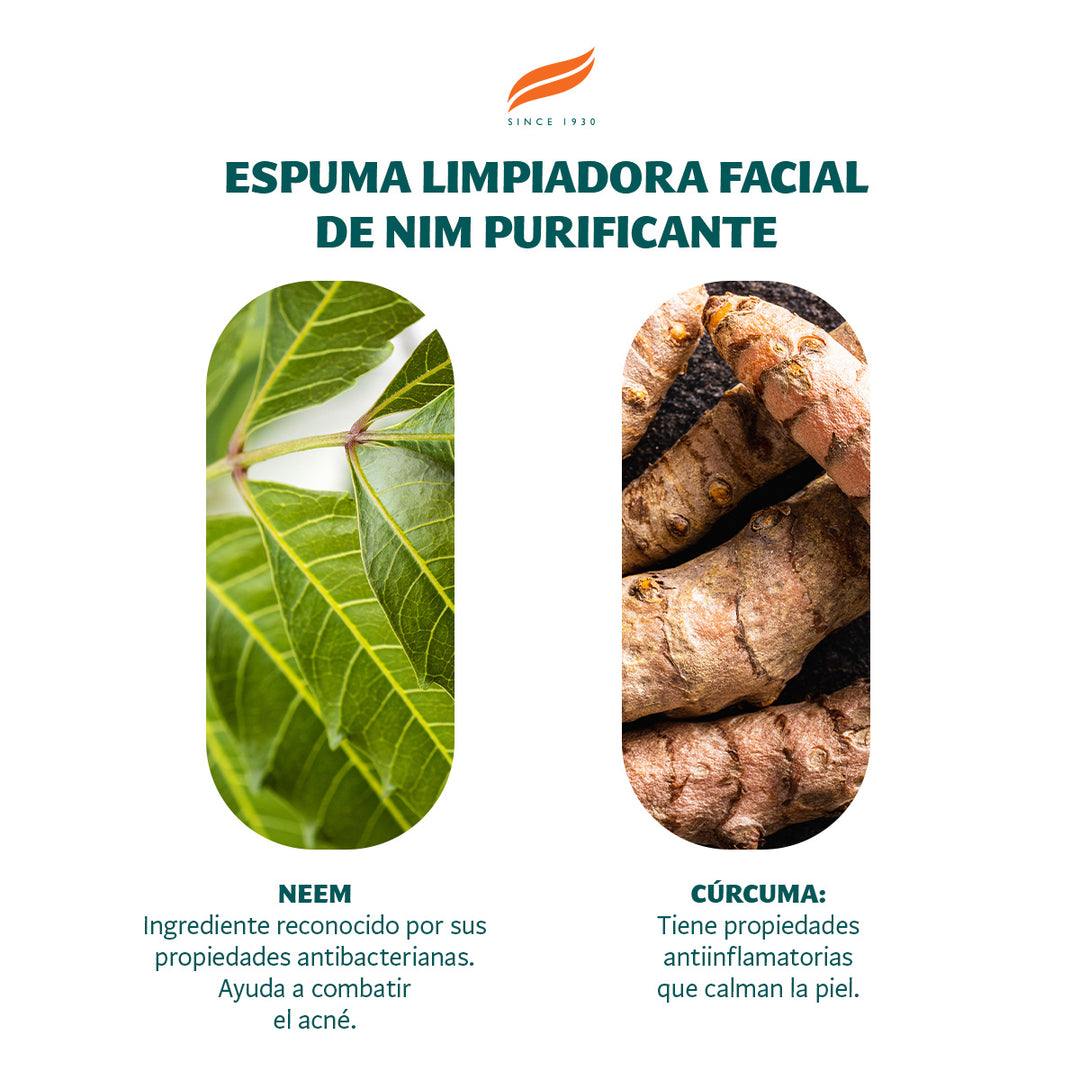 Limpiador facial espumoso purificante de neem