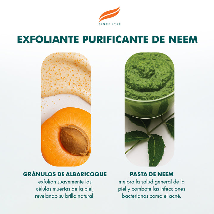 Exfoliante purificante de neem