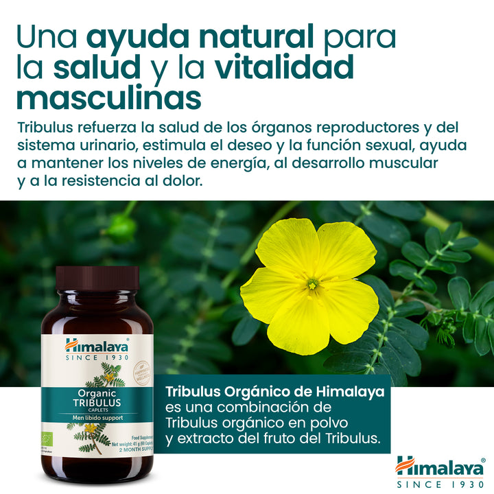 Himalaya Organic Tribulus (Gokshura)