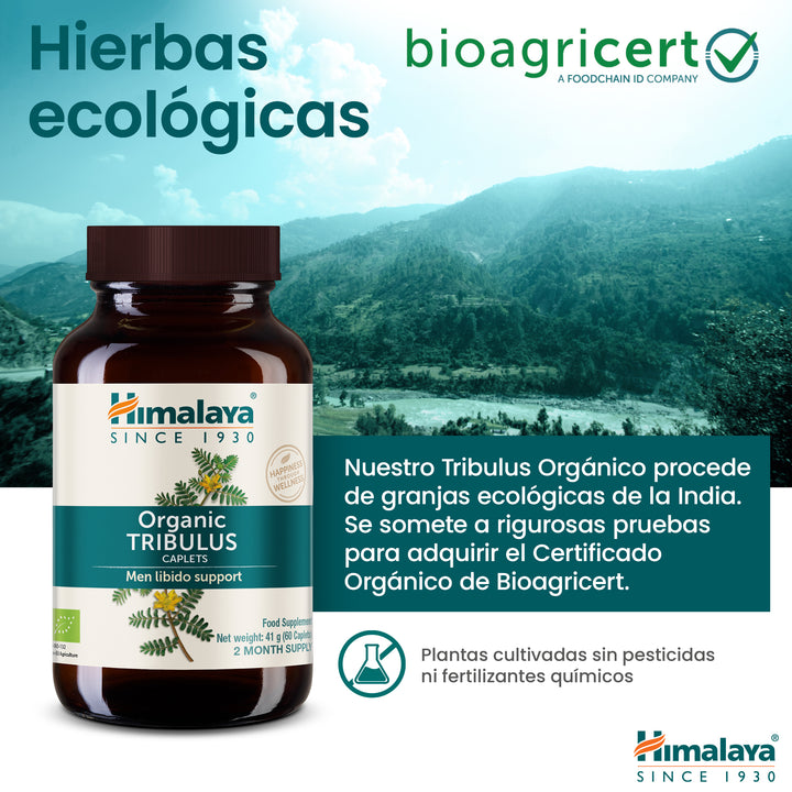 Himalaya Organic Tribulus (Gokshura)