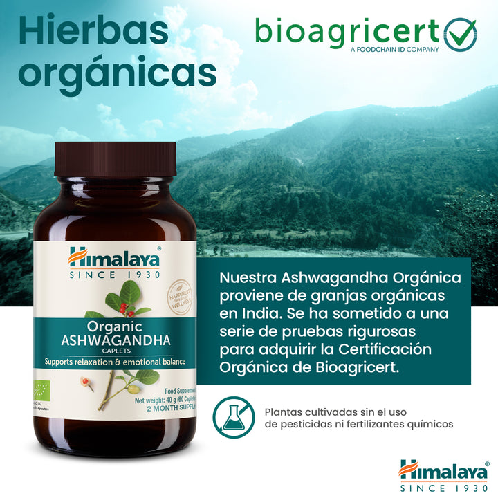 Himalaya Organic Ashwagandha (Indian Ginseng)