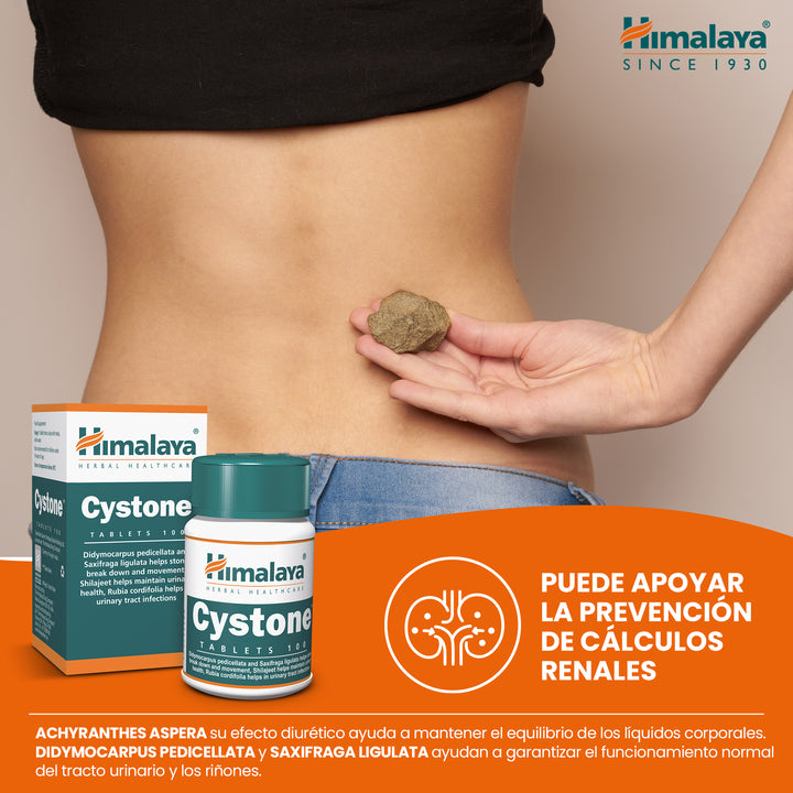 Cystone - 100 Tablets (Pack of 3)