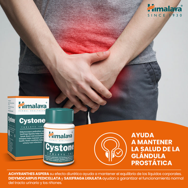 Cystone - 100 Tablets (Pack of 3)