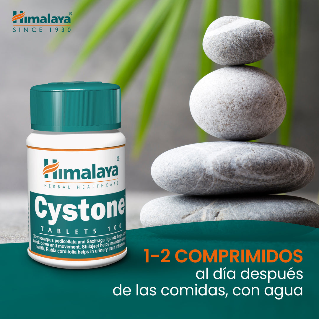 Cystone - 100 Tablets (Pack of 3)