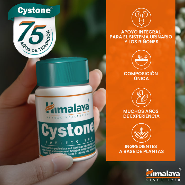 Cystone - 100 Tablets (Pack of 3)