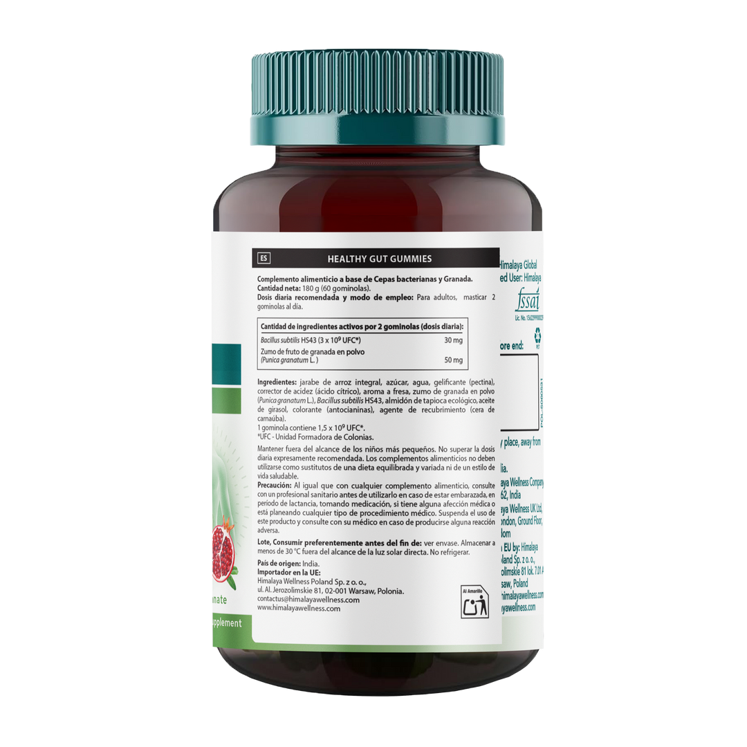 Himalaya GUT Gummies