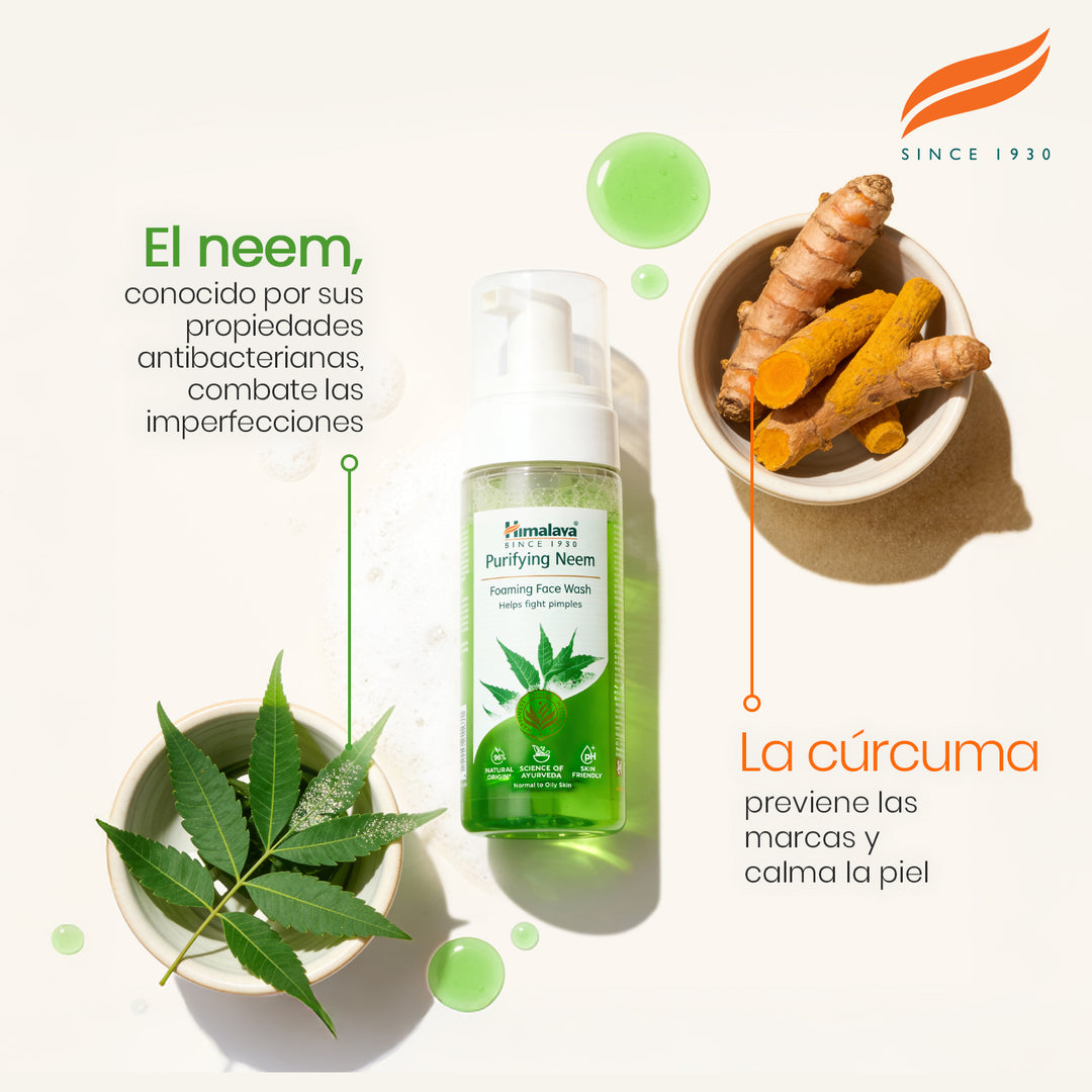 Limpiador facial espumoso purificante de neem