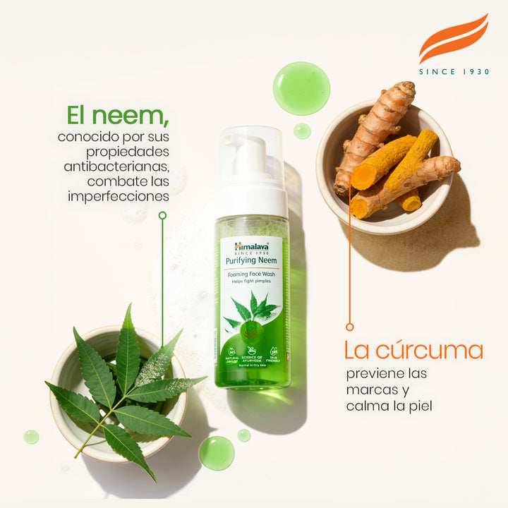 Limpiador facial espumoso purificante de neem