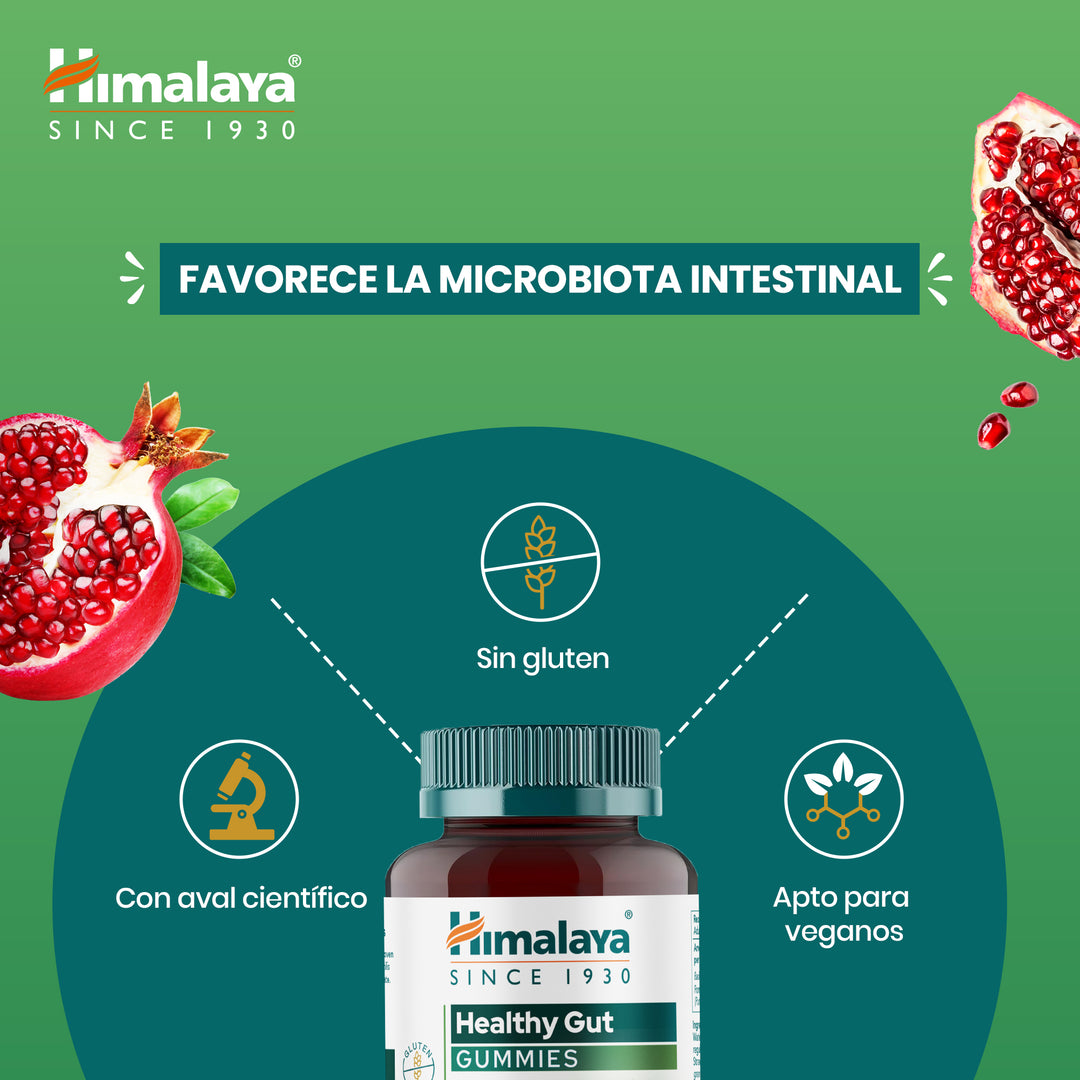 Himalaya GUT Gummies