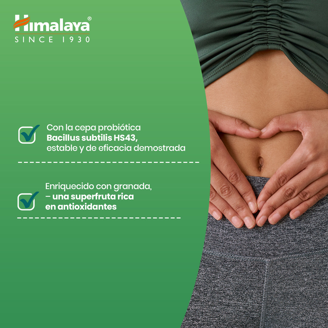 Himalaya GUT Gummies