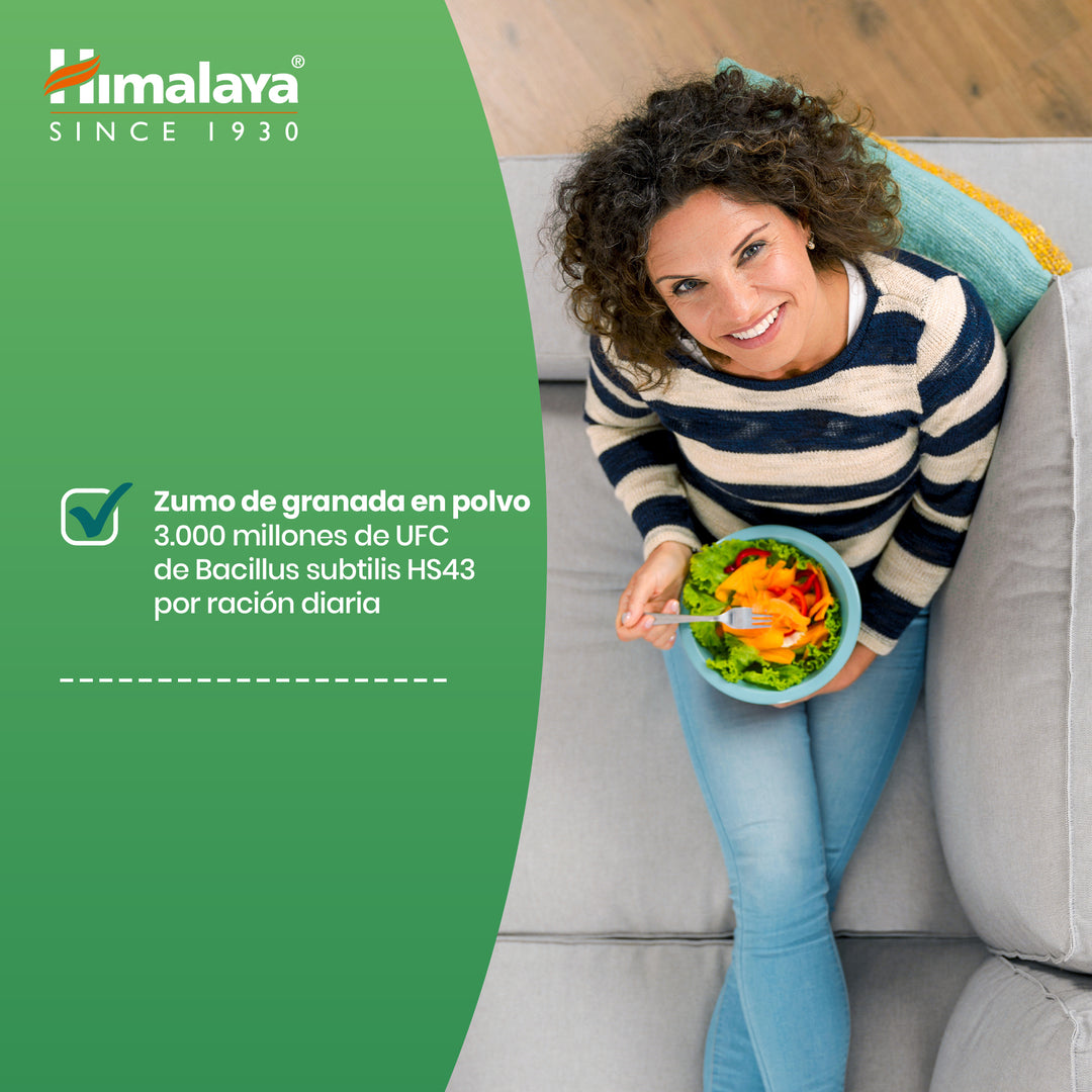 Himalaya GUT Gummies