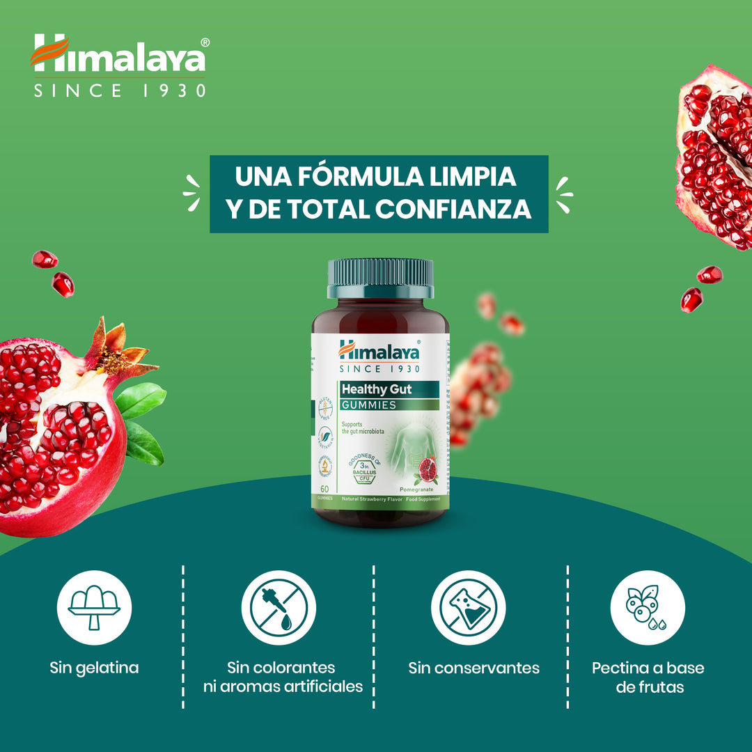 Himalaya GUT Gummies