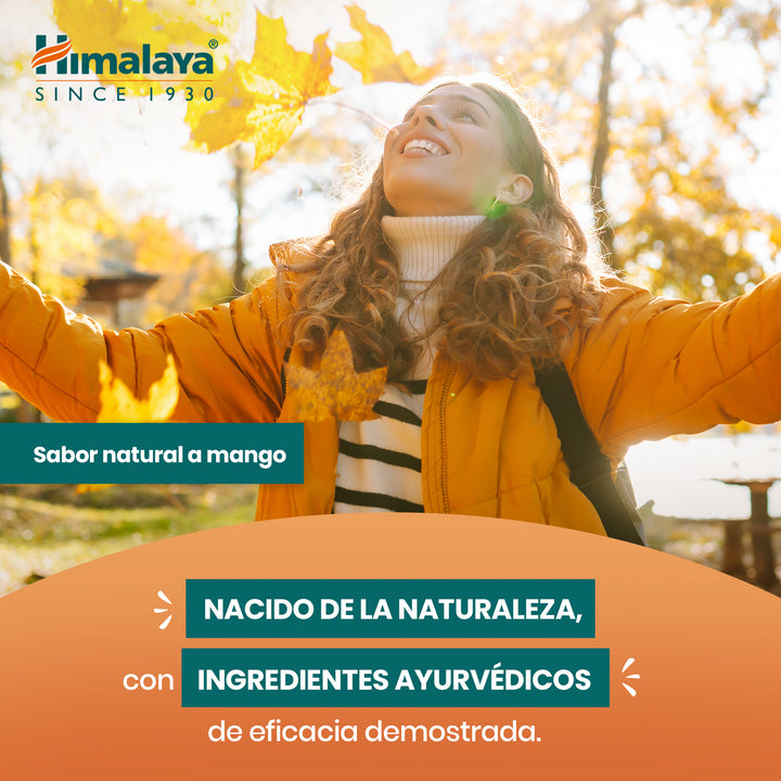 Himalaya Turmeric Gummies